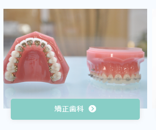 歯科矯正歯科